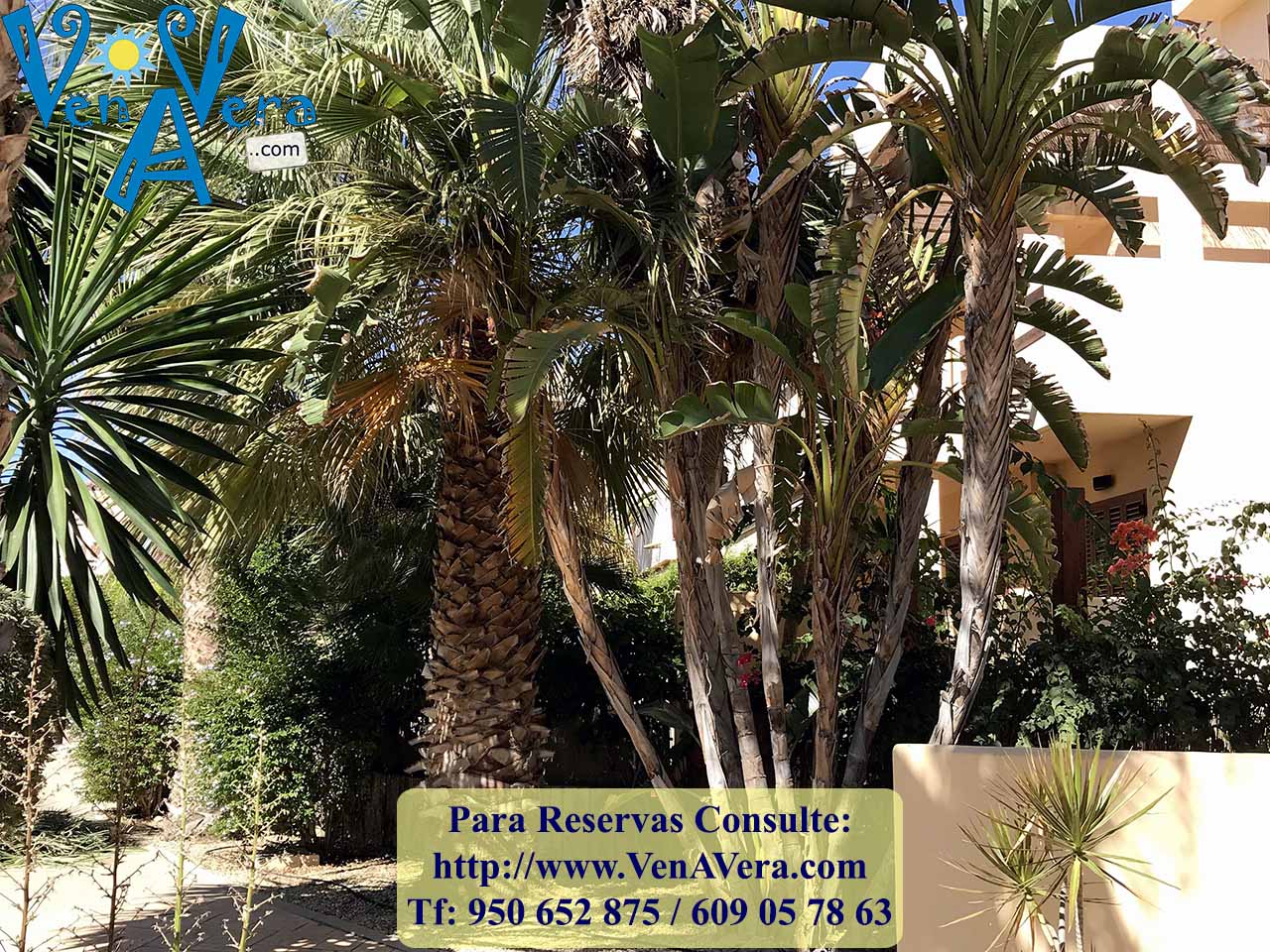 BFenicia_B6_A1I_IMG_4143