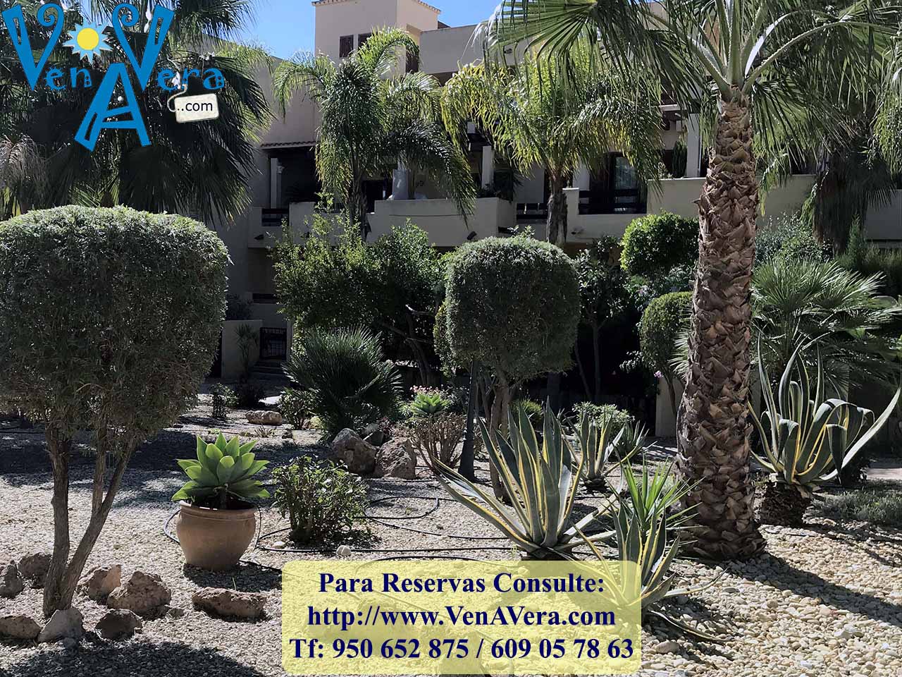 BFenicia_B6_A1I_IMG_4145