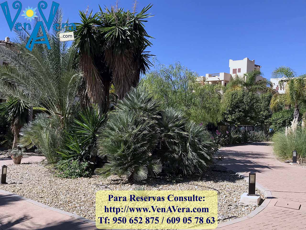 BFenicia_B6_A1I_IMG_4147