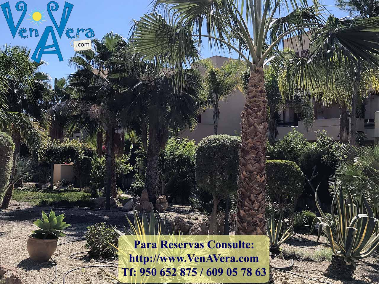 BFenicia_B6_A1I_IMG_4148