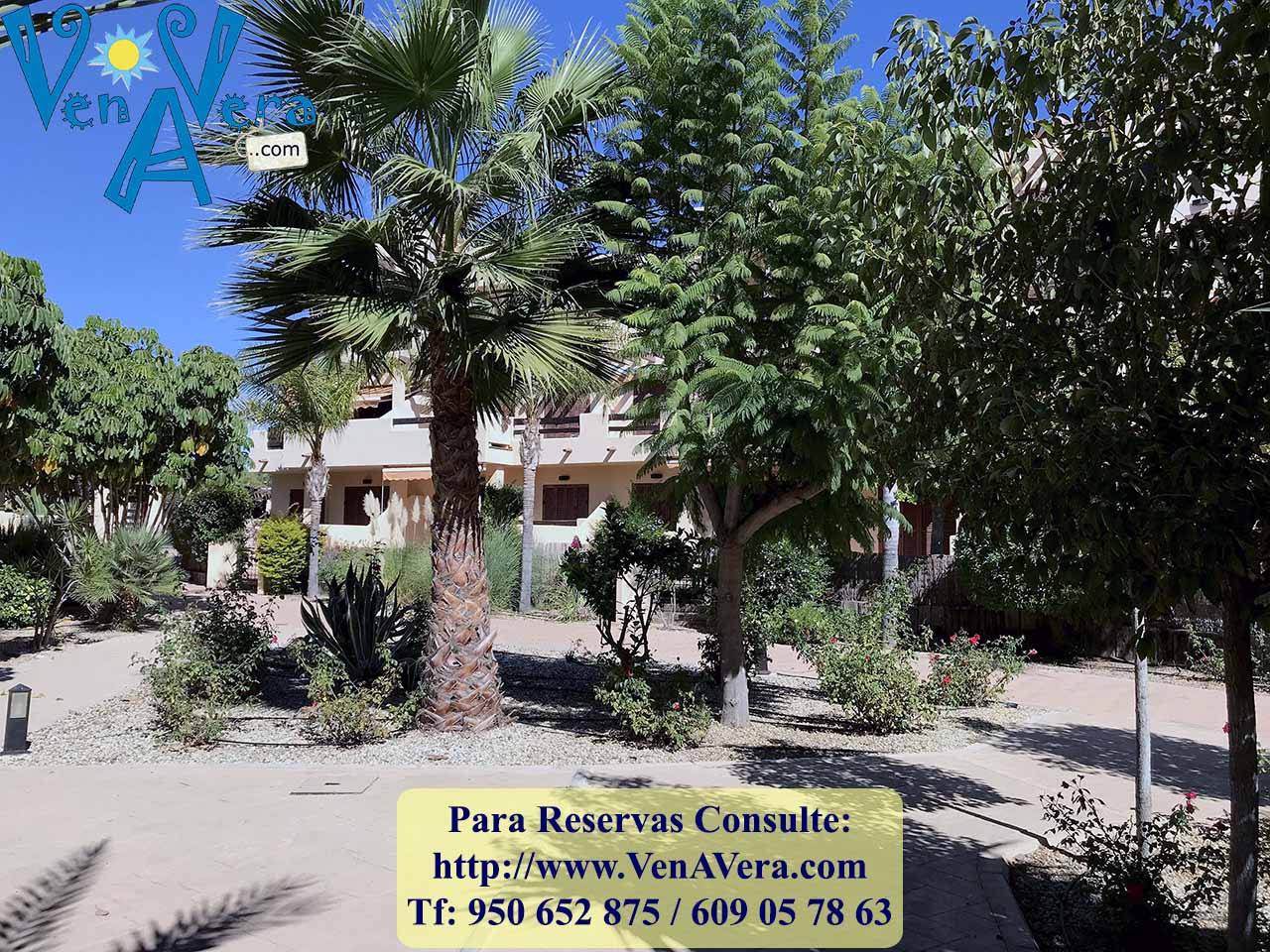 BFenicia_B6_A1I_IMG_4169