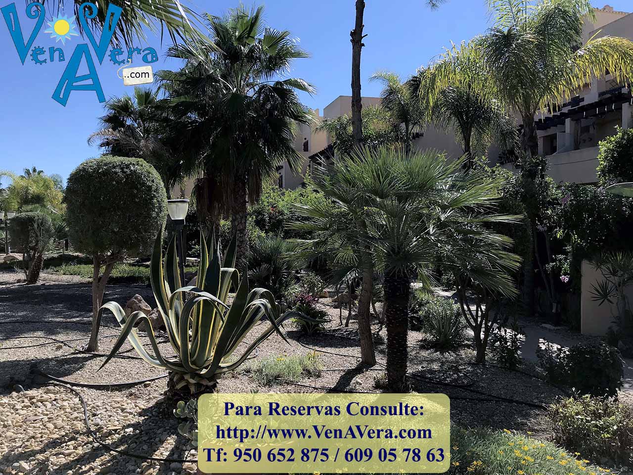 BFenicia_B6_A1I_IMG_4179