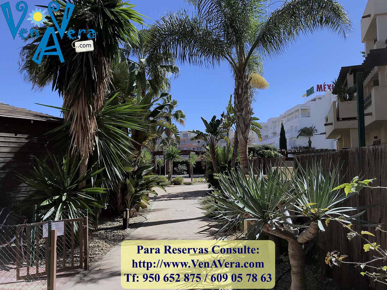 BFenicia_B6_A1I_IMG_4186